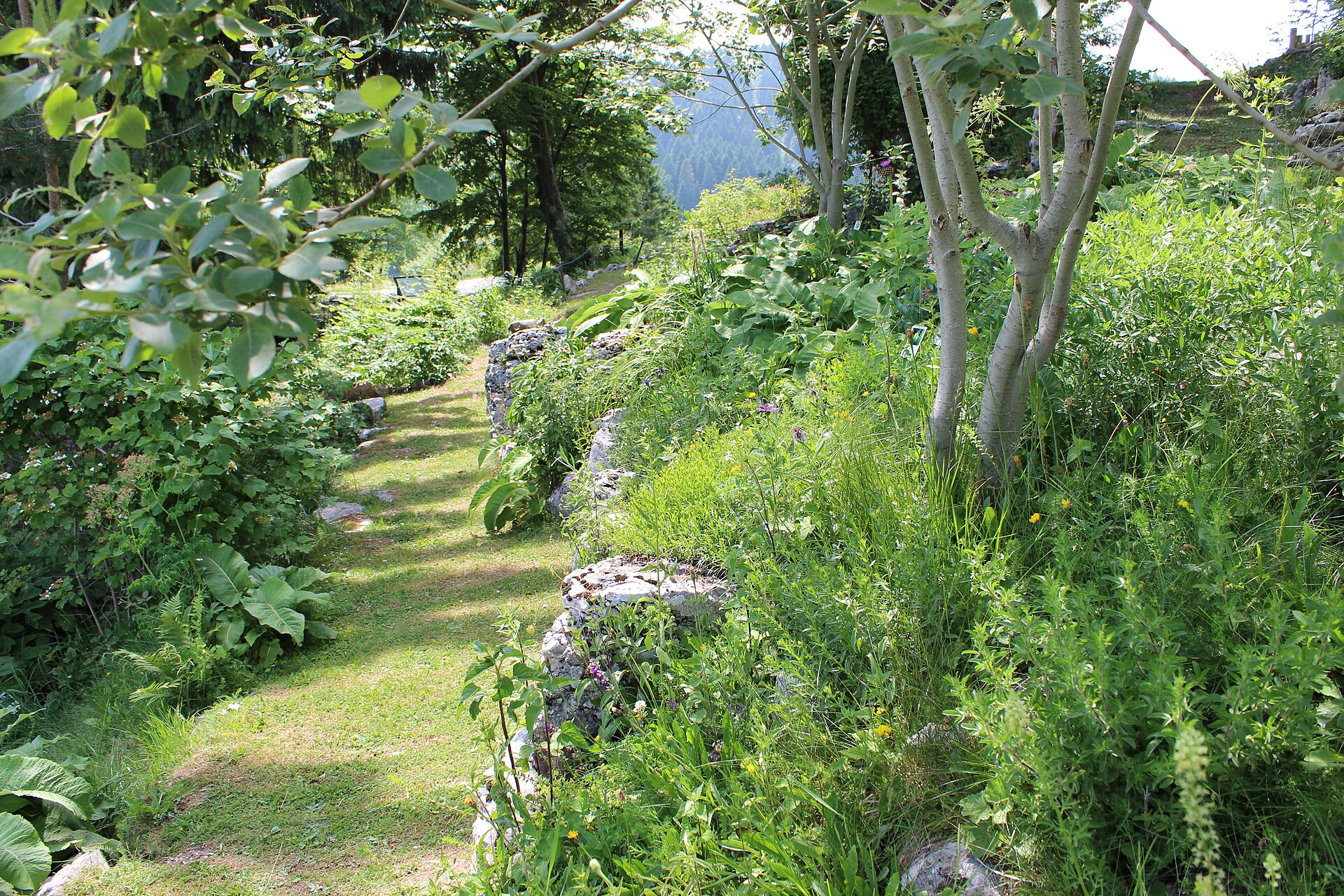 Monte Corno – Lusiana — Alpine village in Italy
