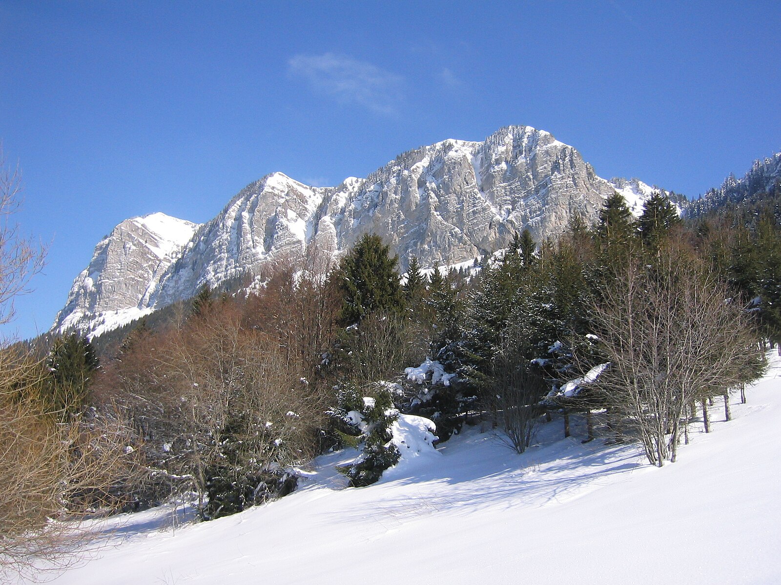 Thollon les Mémises ski area