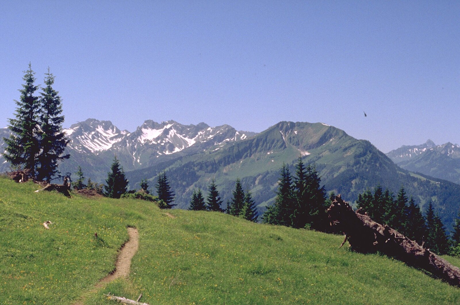 Oberstdorf Kleinwalsertal - Söllereck ski area