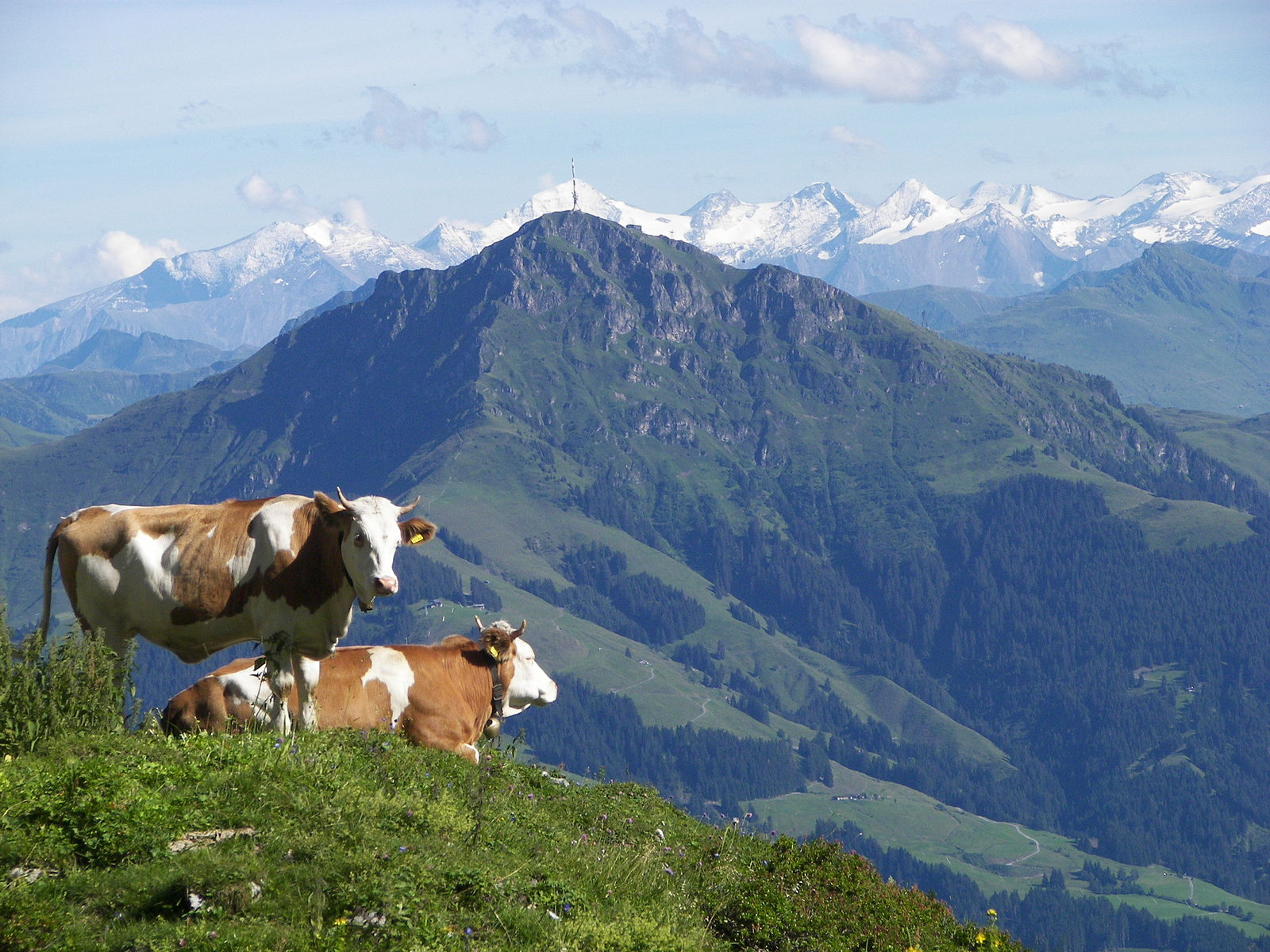 Kitzbüheler Horn — Alpine village in Austria