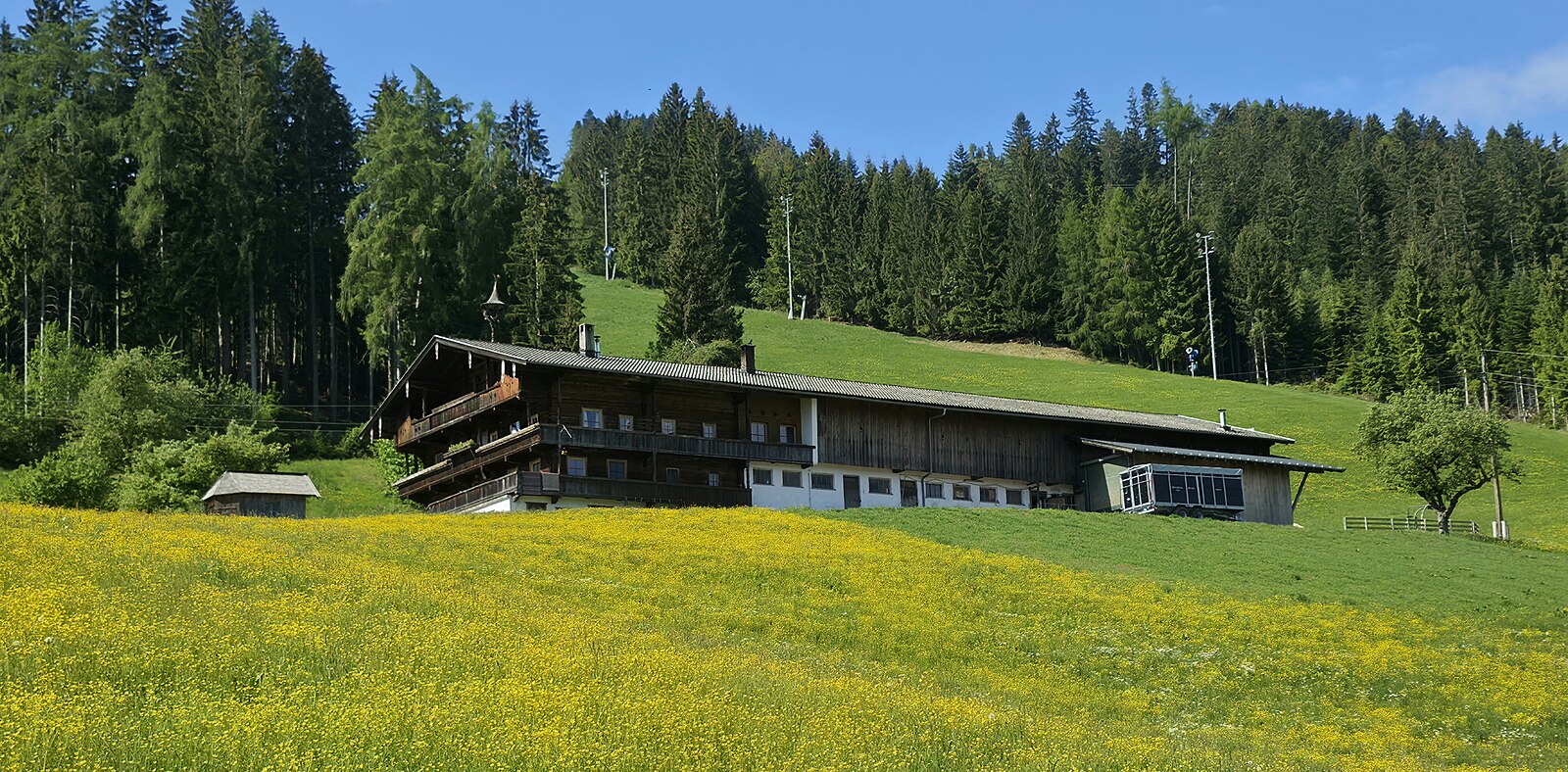 Reither Kogel – Reith im Alpbachtal — Alpine village in Austria