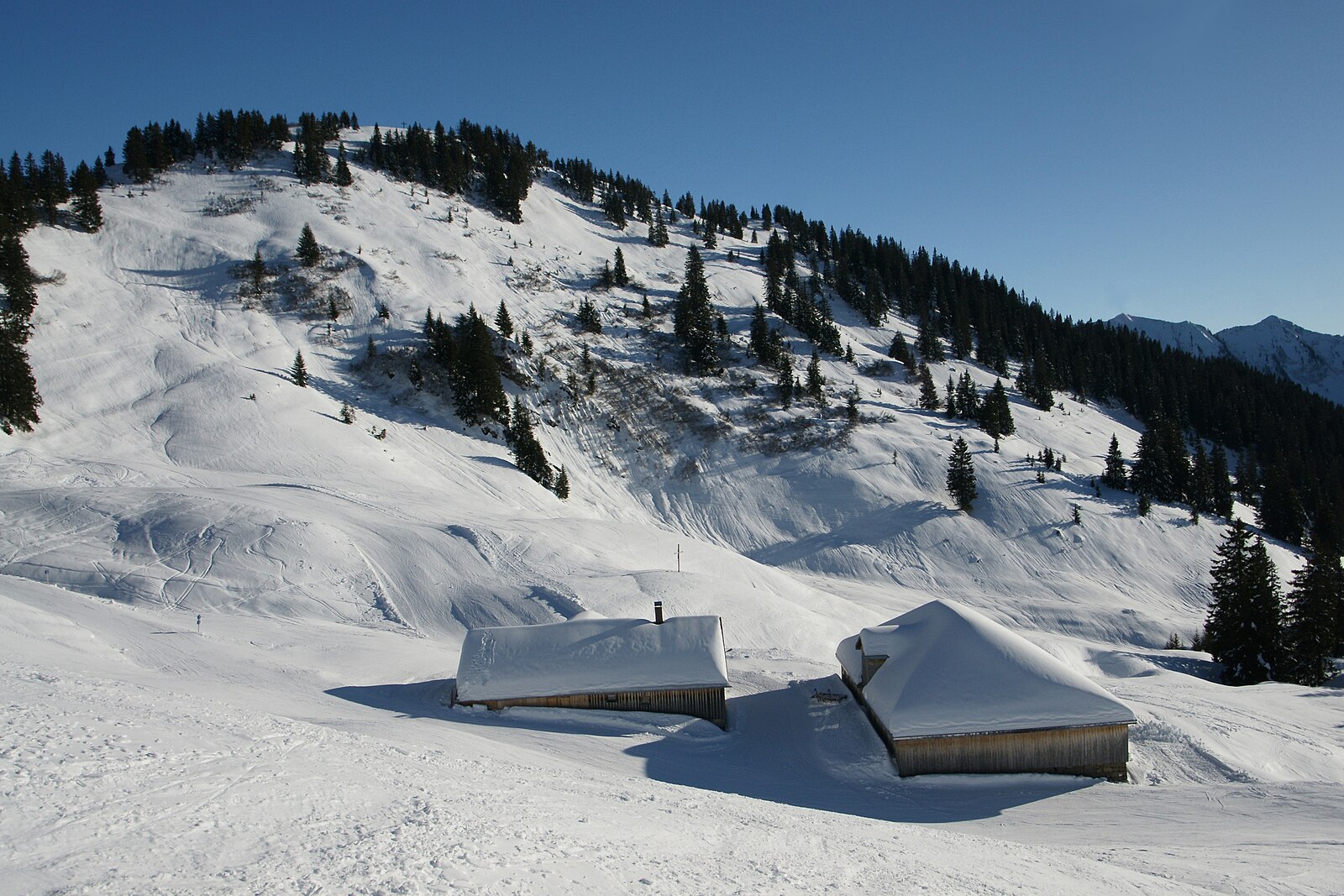 Laterns – Gapfohl ski area