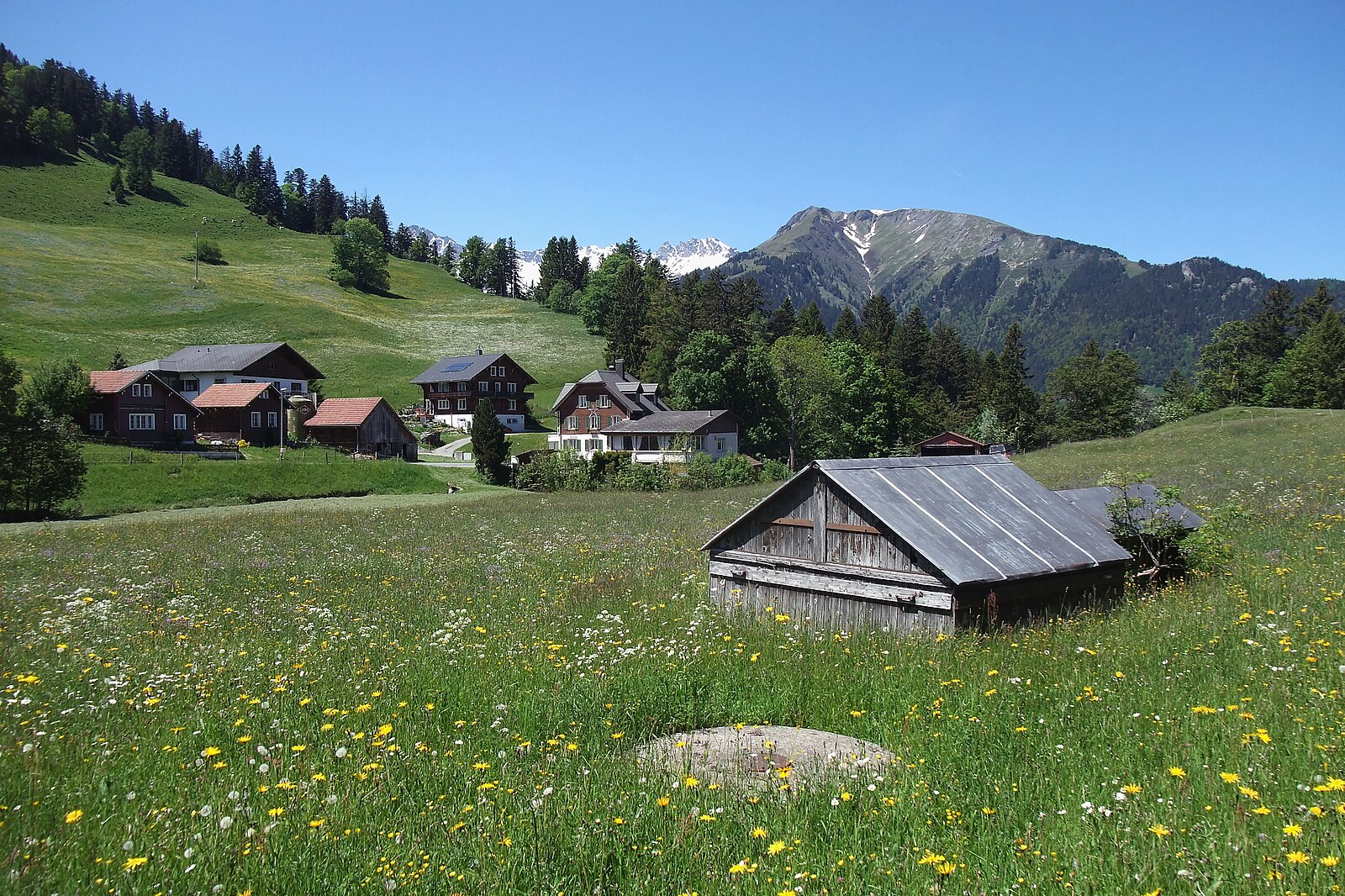 Tristeli – St. Margrethenberg — Alpine village in Switzerland